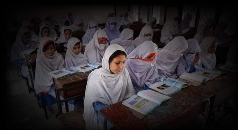 Dr.Meena Waziri🇦🇫 مینه tweet media