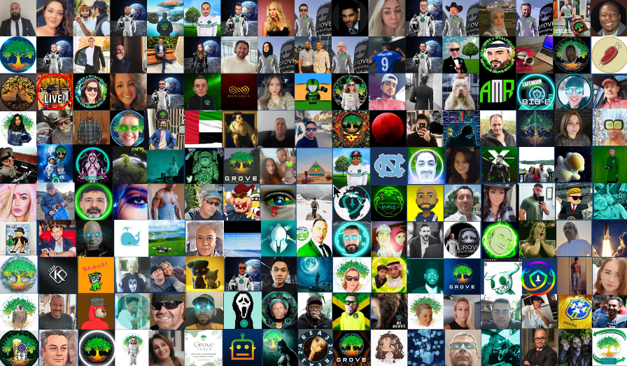 CommanderGrove's tweet photo. When I think #GroveGreenArmy I think of these wonderful people. A family of positive individuals coming together to support a project destined for greatness. A crytpo project's most valuable asset is it's community and #GroveToken undeniably has one of the strongest.๐๐ https://t.co/tZ8Dw1IXfW