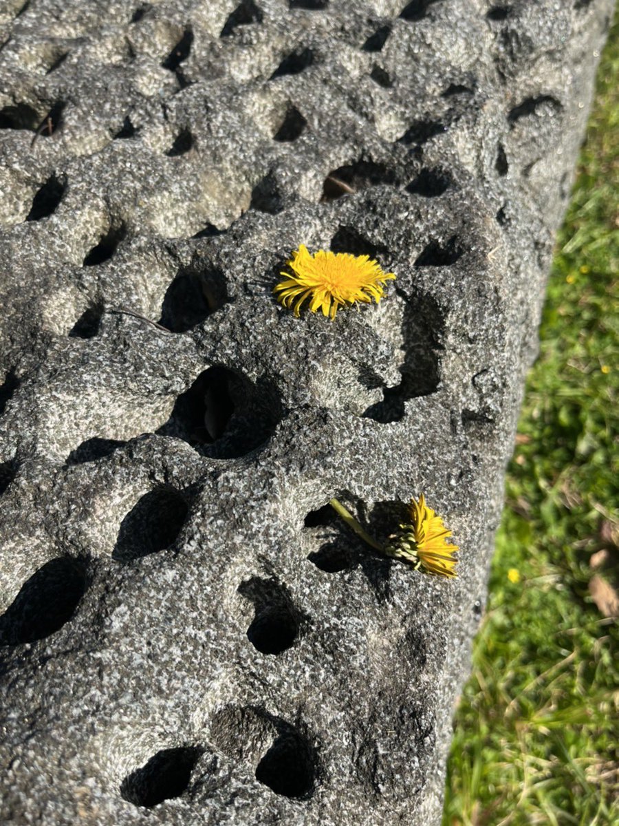 araki miyu (@aruki3u) / Posts / X