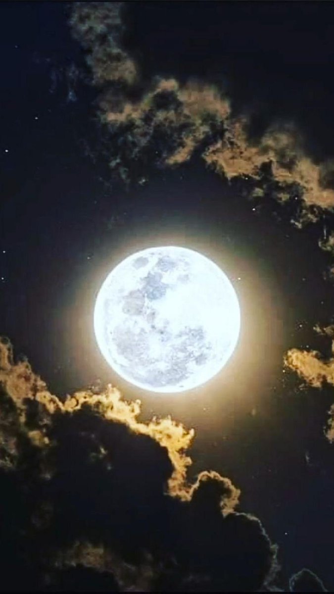 🄰🄼🄰🄻❤🅂🧁🄰🅈🄼🄰🄽4ᵉᵛᵉʳ💝🍨🍡🍭🍫🎶🎹🎶 tweet media