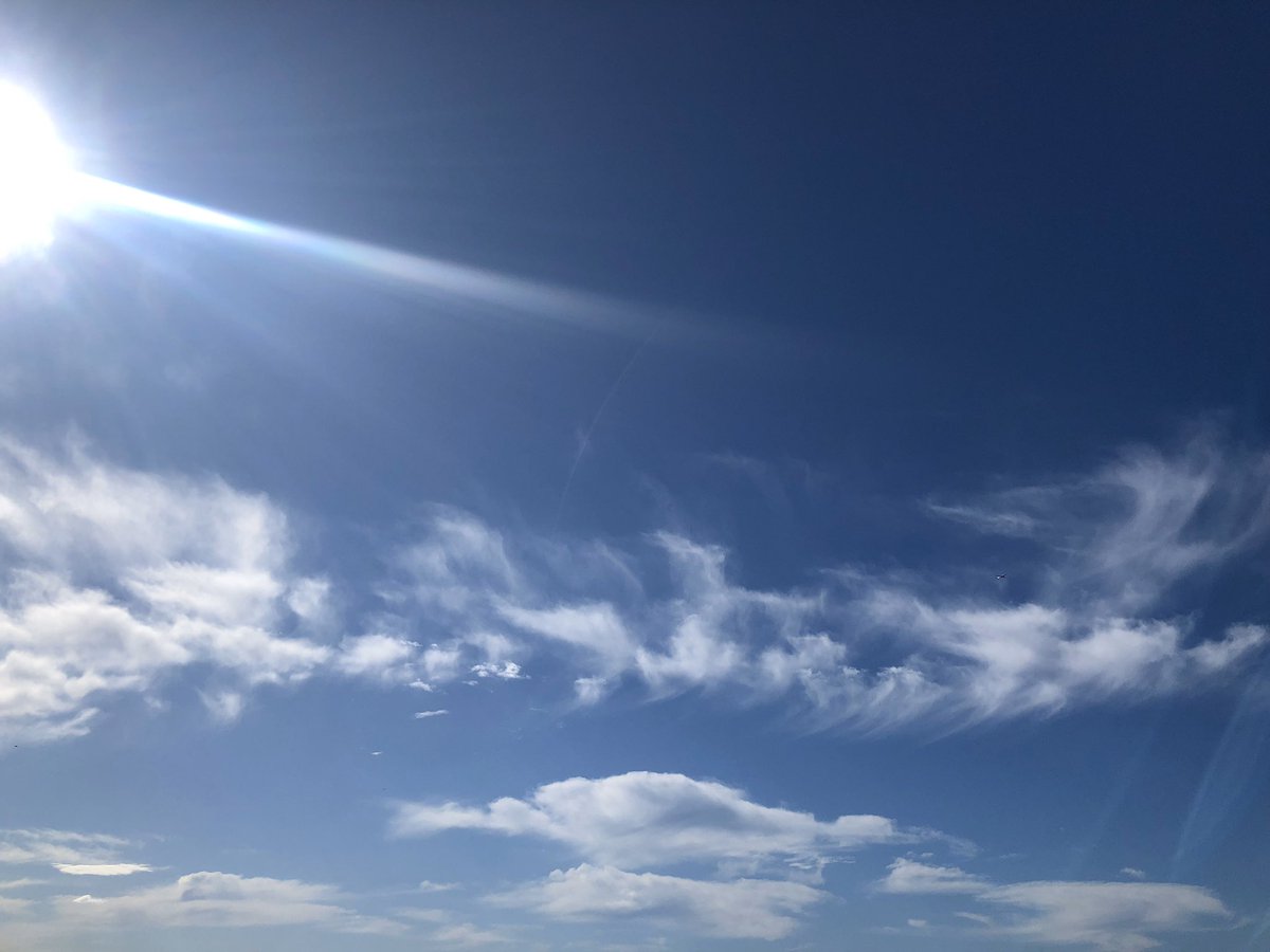 bbnhvsxpg's tweet photo. 天气真好，越来越适合露出了
#露出
#悉尼 https://t.co/8JmxeY24eE