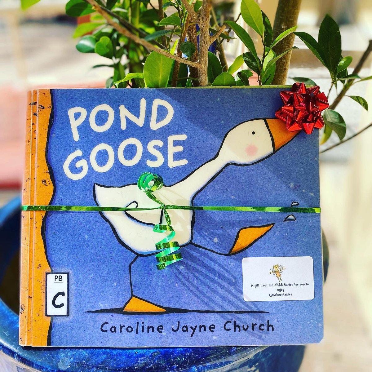JESSPrimaryLRC's tweet photo. Look out for the JESS book fairies! Coming soon! 🧚📚 #jessdubaischool #jessreads #jesslibrary #jesscommunity #jessbookfairies https://t.co/iSMuiXcHHB