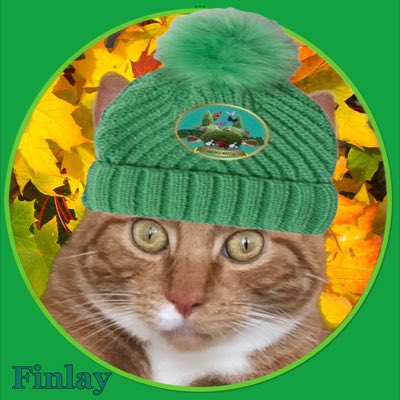 MrsToggit's tweet photo. Oooh this will keep mine ned warm 😸🐾 #Hedgewatch #WinterHedgewatch #ColdBum 😹 https://t.co/5gaFCCH5Es