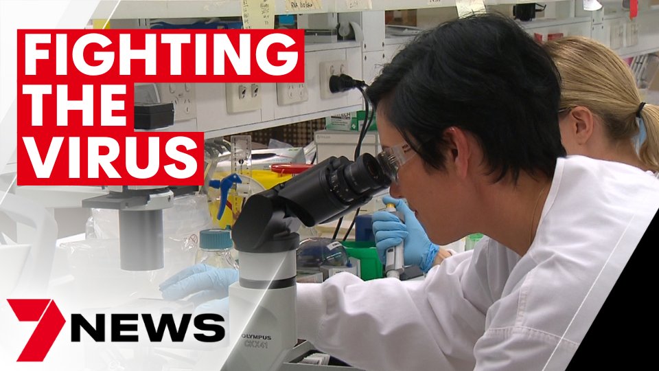 7NEWS Queensland (@7newsbrisbane) on Twitter photo A revolutionary new concept to fight COVID has been developed by researchers in Queensland. They've discovered a drug that targets the immune system instead of the virus. youtu.be/_9naf-fKK14 <a href="/SteveHartNews/">Steve Hart</a> #7NEWS A revolutionary new concept to fight COVID has been developed by researchers in Queensland. They've discovered a drug that targets the immune system instead of the virus. youtu.be/_9naf-fKK14 <a href="/SteveHartNews/">Steve Hart</a> #7NEWS