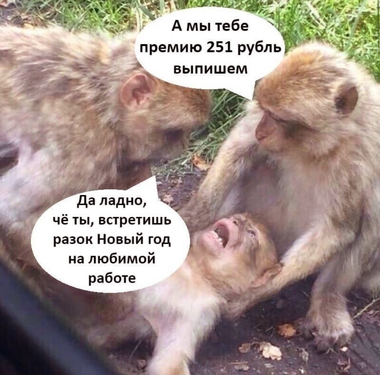 Ярослава и обезьяна