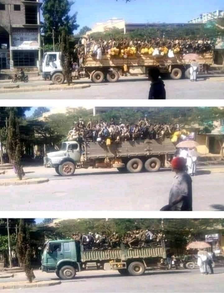 HornNewsHub's tweet photo. ባእዳዊው የኤርትራ ወራሪ ሰራዊት በኢትዮጵያ መከላከያ ሰራዊት እጀባ በእንዲህ መልኩ የትግራይን ህዝብ ንብረት ዘርፎ በመውሰድ ላይ ይገኛል።
#Whereisthepeace
#EritreanTroopsOutOfTigray https://t.co/jykc52kJV2