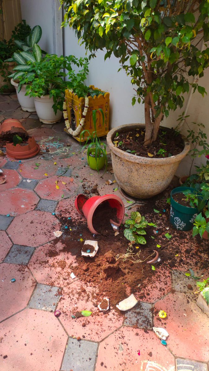Arvindharmapuri's tweet photo. కెసిఆర్, KTR, K.కవిత ల ఆదేశాలపై హైదరాబాద్ లోని నా ఇంటిపై దాడి చేసిన TRS గుండాలు.

ఇంట్లో వస్తువులు పగలగొడుతూ, బీభత్సం సృష్టిస్తూ, మా అమ్మను బెదిరించారు!

TRS goons attacked my residence and vandalised the house.

They terrorised my mother &amp; created ruckus.
@PMOIndia @narendramodi https://t.co/LwtzZU4rfg