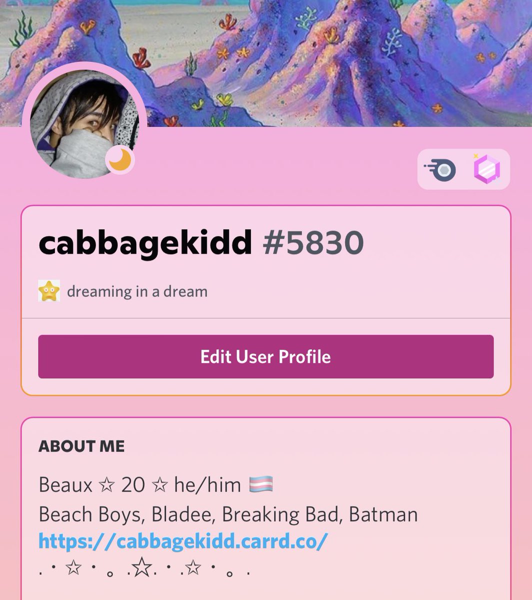 cabbagekidd's tweet photo. uh!!!! I literally don't have any other socials I'm active on for art!!! so I guess add me on discord if you don't have me there already and don't want to lose touch if worse comes to worse!! https://t.co/iklsHj3Vl2