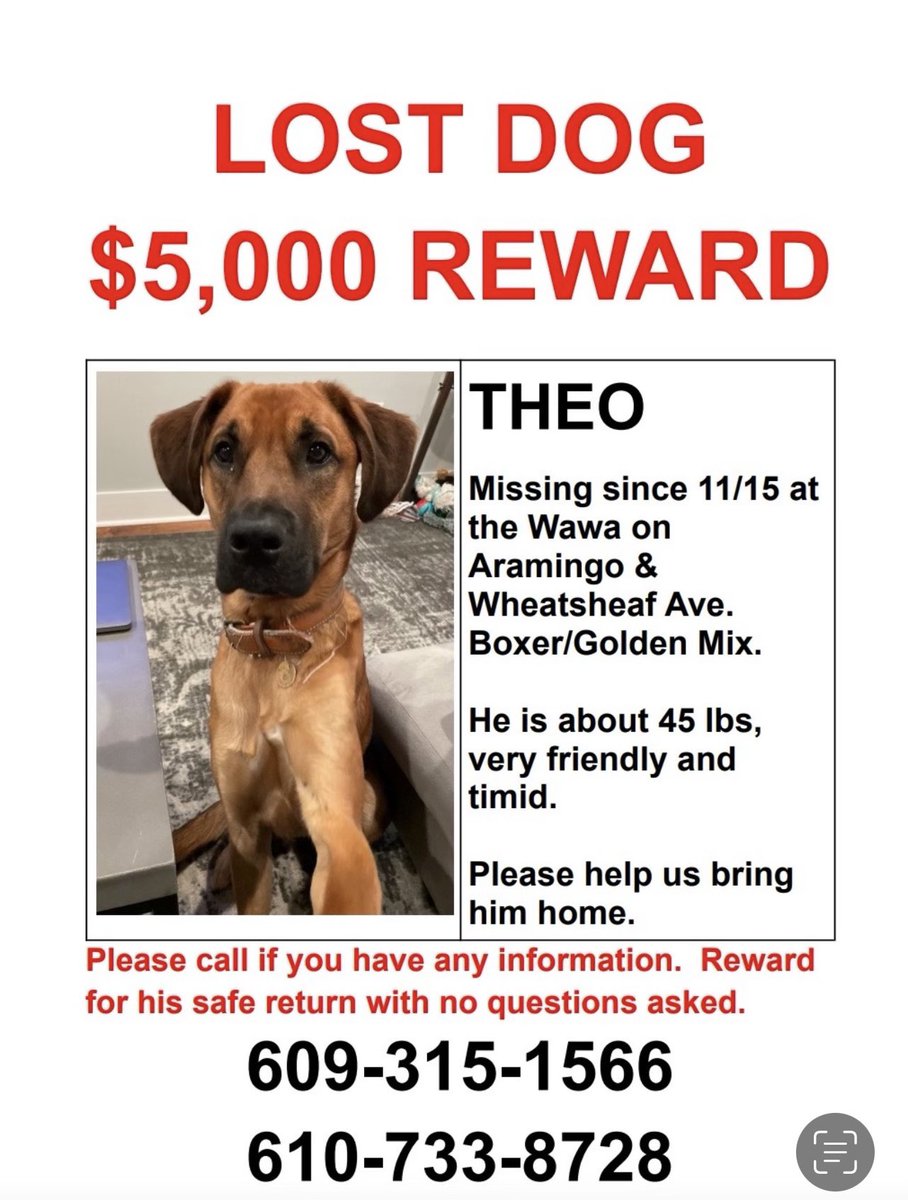 A Fishtown couple needs your help! They say their dog Theo was stolen from their car at a Wawa on Aramingo Ave in Philly on Tues. They are desperately searching for him. <a href="/CBSPhiladelphia/">CBS Philadelphia</a>