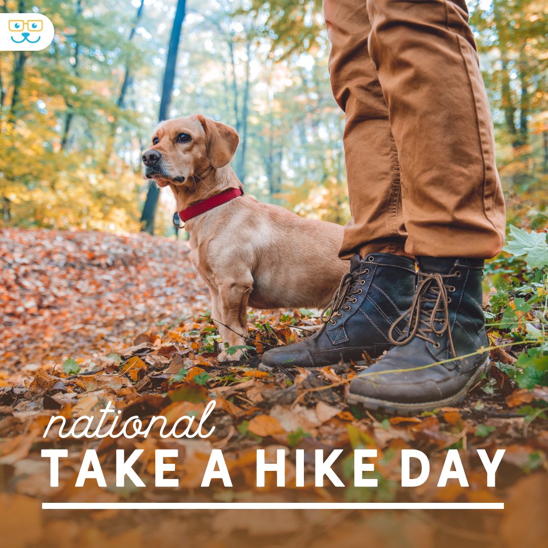 It's National Take a Hike Day! If you decide to hit the trail with your pet, remember the pet essentials. Water, poop bag and don't forget the flea and tick prevention. Order yours here bit.ly/3NXNNth   #takeahikeday #hikewithpets #doghike #hudsonanimalhospitalnyc.com