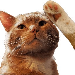 thegoodcatboy's tweet photo. IT HAS BBEEN A DELIHGT https://t.co/HneI5Mnyax
