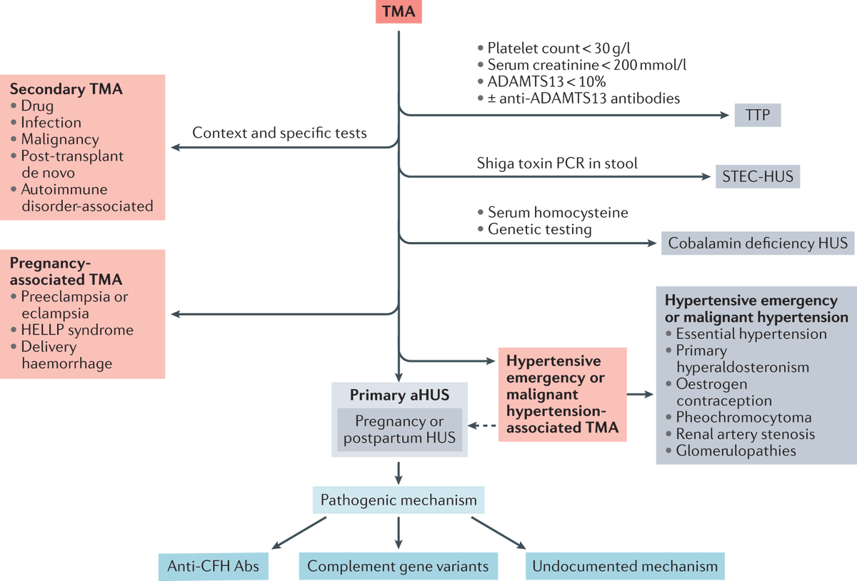 Nature Reviews Nephrology tweet media