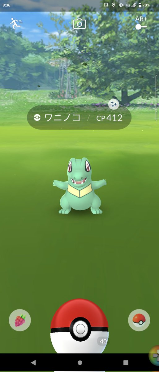 Qnqnecggsohszm