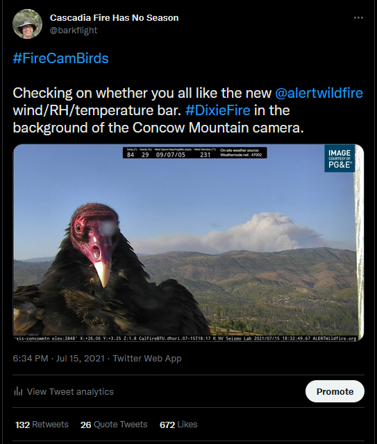 barkflight's tweet photo. @pyroutopian @FireCamBirds May #FireCamBirds live forever. https://t.co/BgNNDPNT67