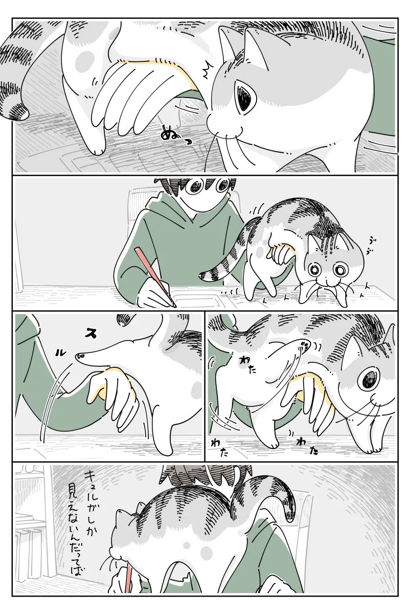 邪魔されないようにガードしていたはずが、いつの間にか･･･！可愛すぎる猫漫画が話題に！