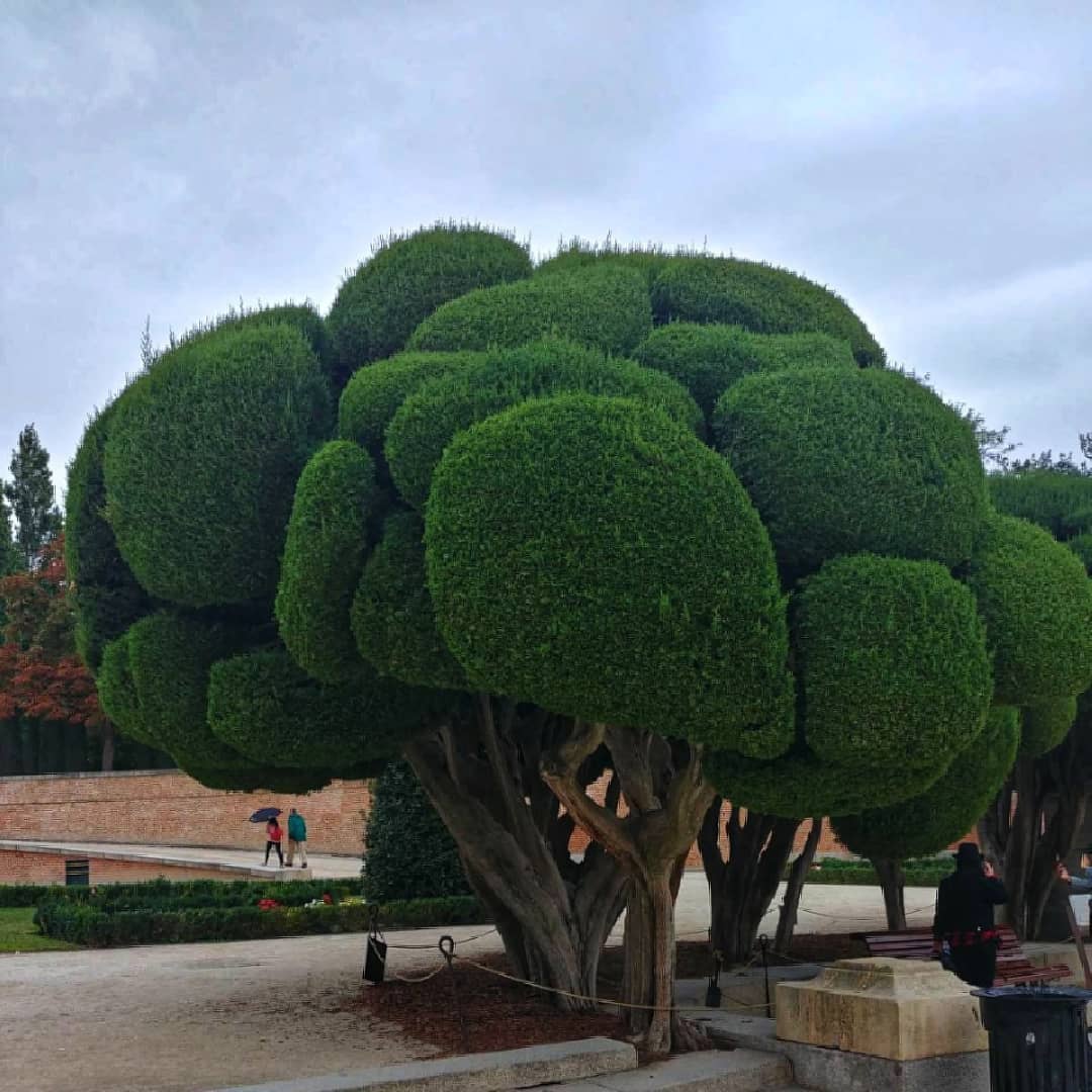 onlykspirit's tweet photo. Credit
@sheridevi_
Parque del Retiro
#spain #park #Retiro #monuments
#lake #boat #fontans
#trees #sunset
#clouds #lion
#Levi
#LEW
#Madrid 👈👈
☁️☁️ 🦁 ☁️☁️☁️
#impressive https://t.co/f4UVu2IdCj