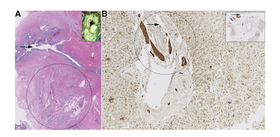 Adam Mikolajczyk tweet media