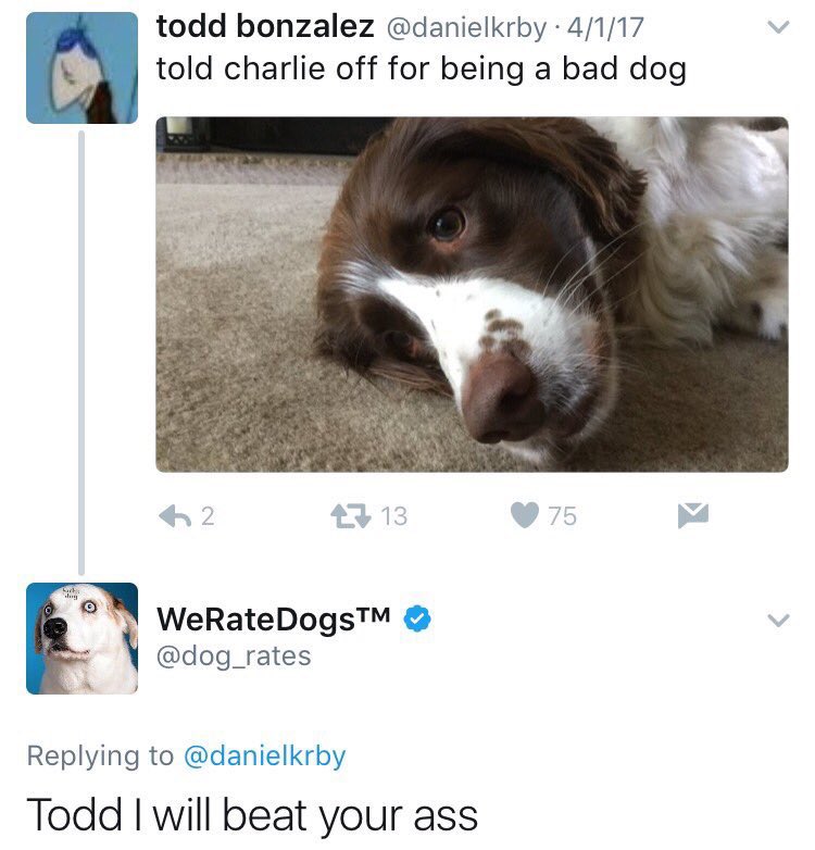 dog_rates tweet picture