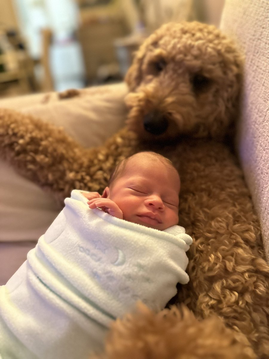 “Mom and Dad you guys take a break, I got this” - Cardi Bean, probably