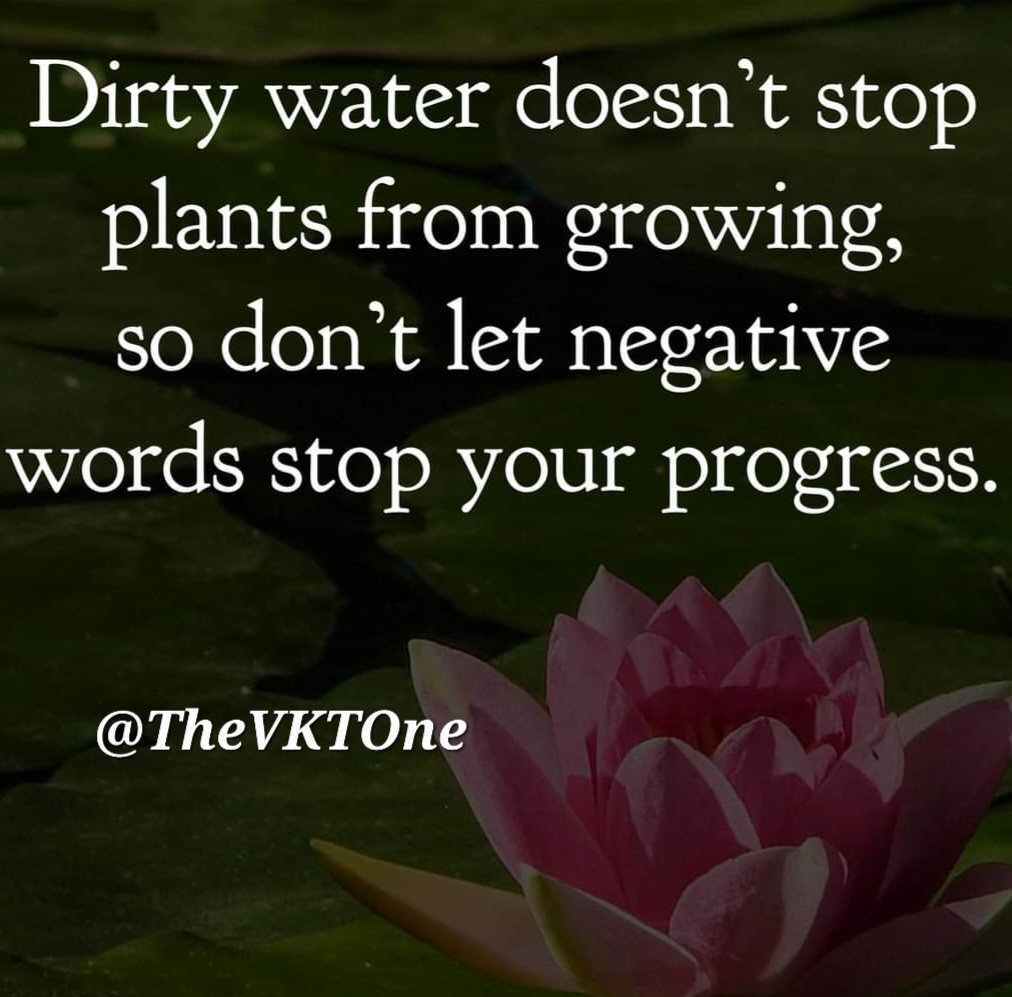 TheVKTOne's tweet photo. #FridayMotivation #FridayThoughts #FridayMorningLive #TheVKTQuotes #Bestquotes #Greatquotes #Focus #Goals #Motivation #Motivational #MotivationalThoughts #FridayFeeling #FridayMorning #FridaysForFuture #FridayFunda #TheVKTOne https://t.co/eP34PxQHUm
