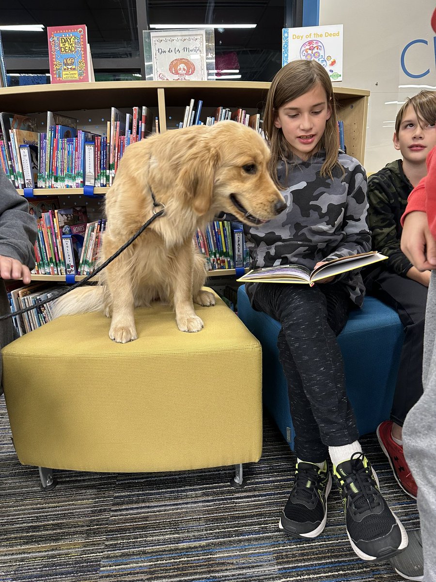 Monica Vazquez tweet media