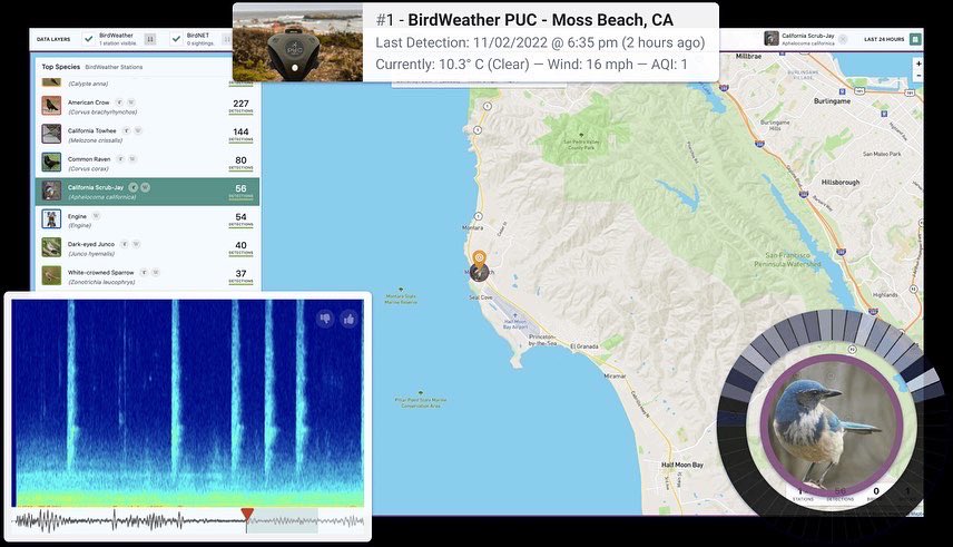 BirdWeatherHQ's tweet photo. Excited to share what we’ve been working on over the last year - BirdWeather!  We’re using sound to identify birds around the world.  Check out https://t.co/KnAGE9VTxF, and install the BirdWeather iOS app to identify the birds in your neighborhood.  #birding #birds #birdweather https://t.co/zpS0lTJwyf