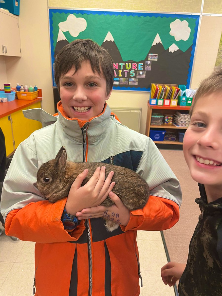 Likely School tweet media