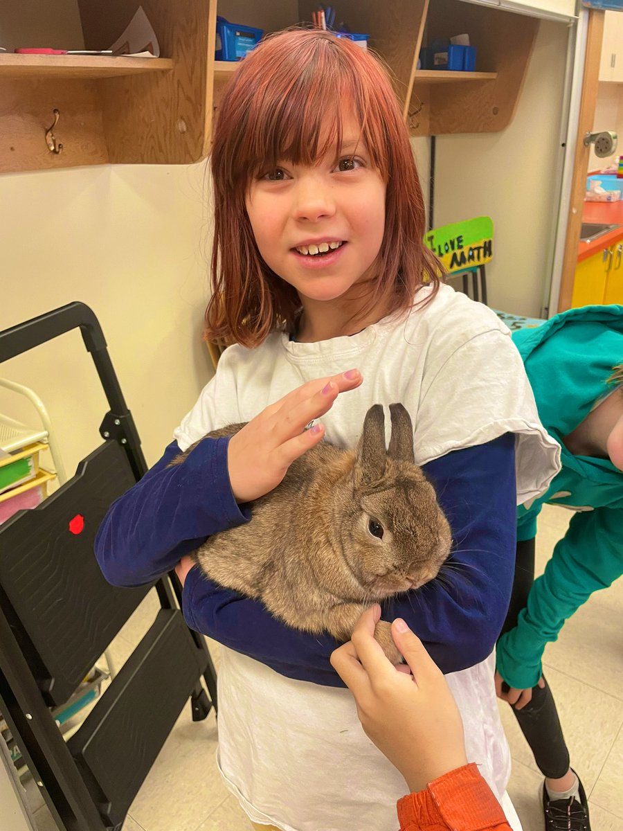 Likely School tweet media