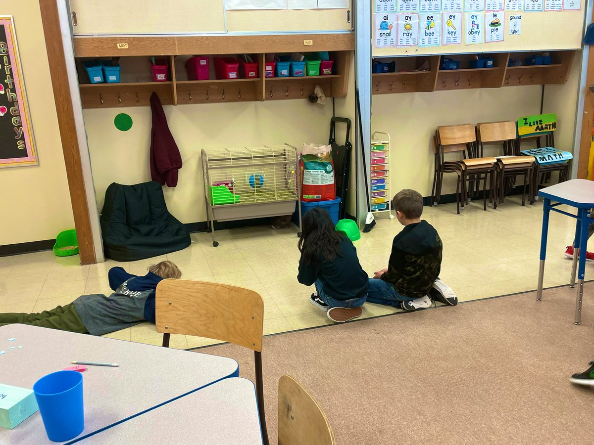 Ms.Bs class gained a furry friend today. Say hello to Likely schools new mascot Cinna Bun! #classpet <a href="/MariahBTeaching/">Mariah Bouchard</a>