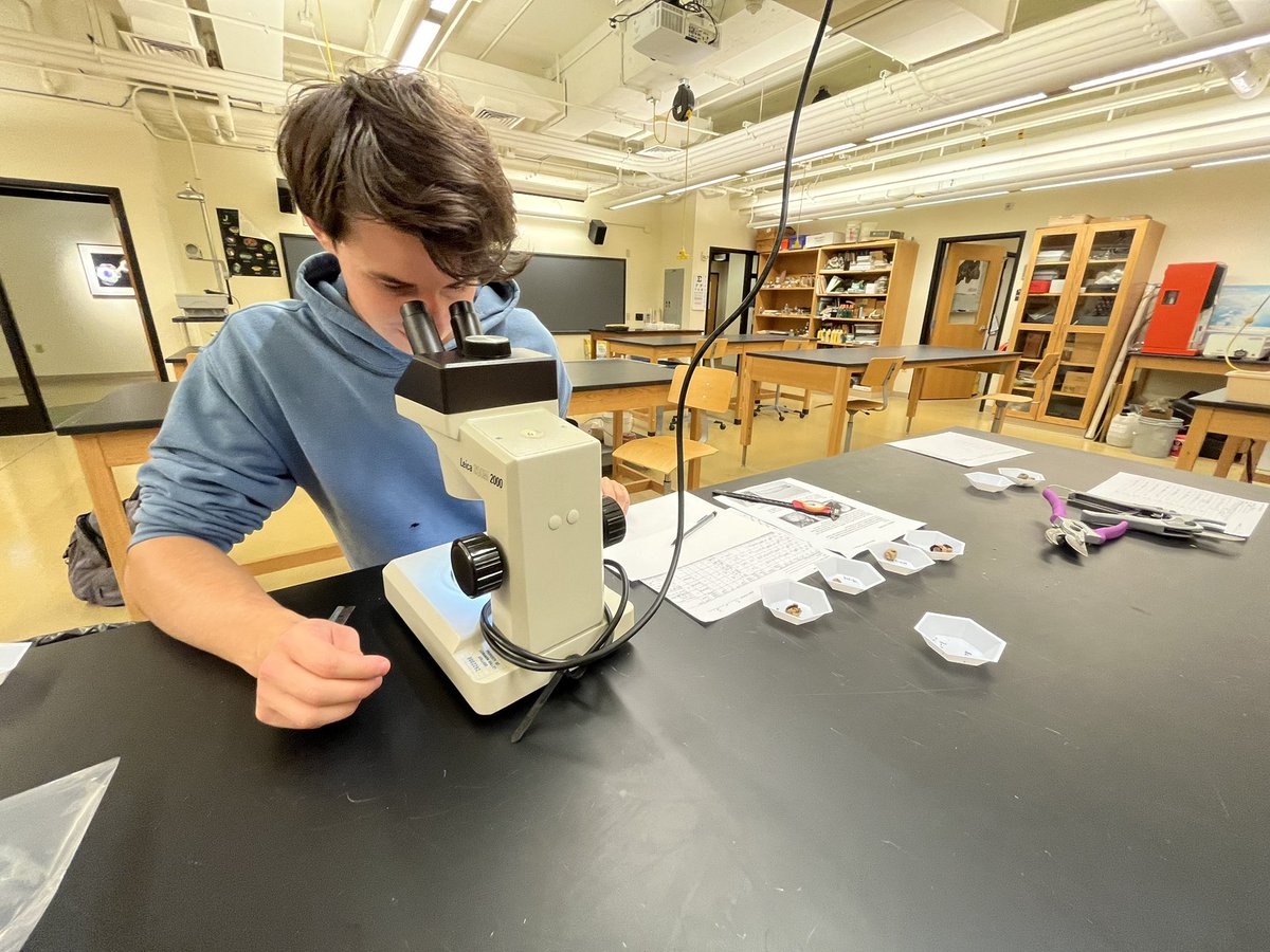 LVCEnvi's tweet image. Yesterday, Ben Smith (BCMB &amp;amp; ENVI double major) and Dr U processed acorns for a collaborative research project studying the variation in seed traits, seed production, and insect infestation among oak species. #LVCENVI #LVCResearch