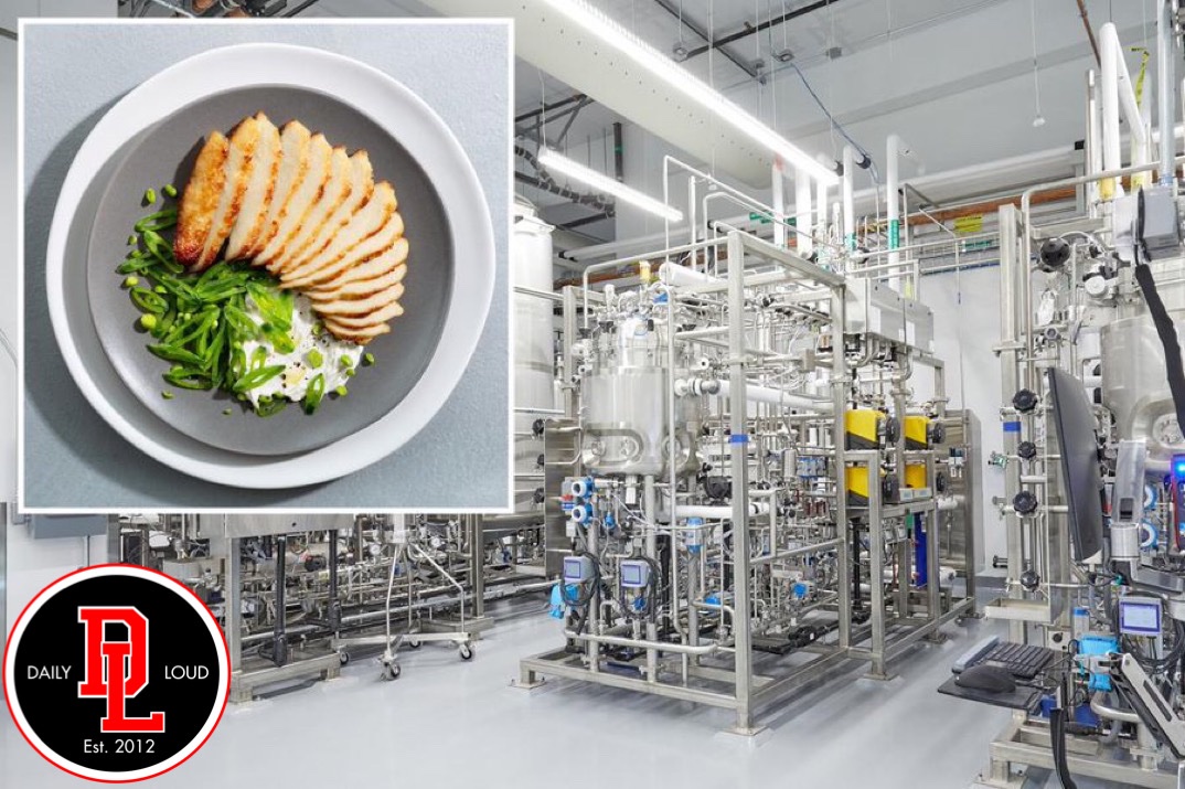 Daily Loud on Twitter "FDA says labgrown meat is “safe to eat” 🥩👀"