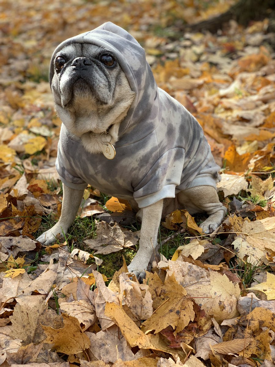 I want my last tweet to be inspiring. Go to your fridge &amp; eat some cheese, stop the ice cream truck, lick the bottom of a peanut butter jar. U deserve it.