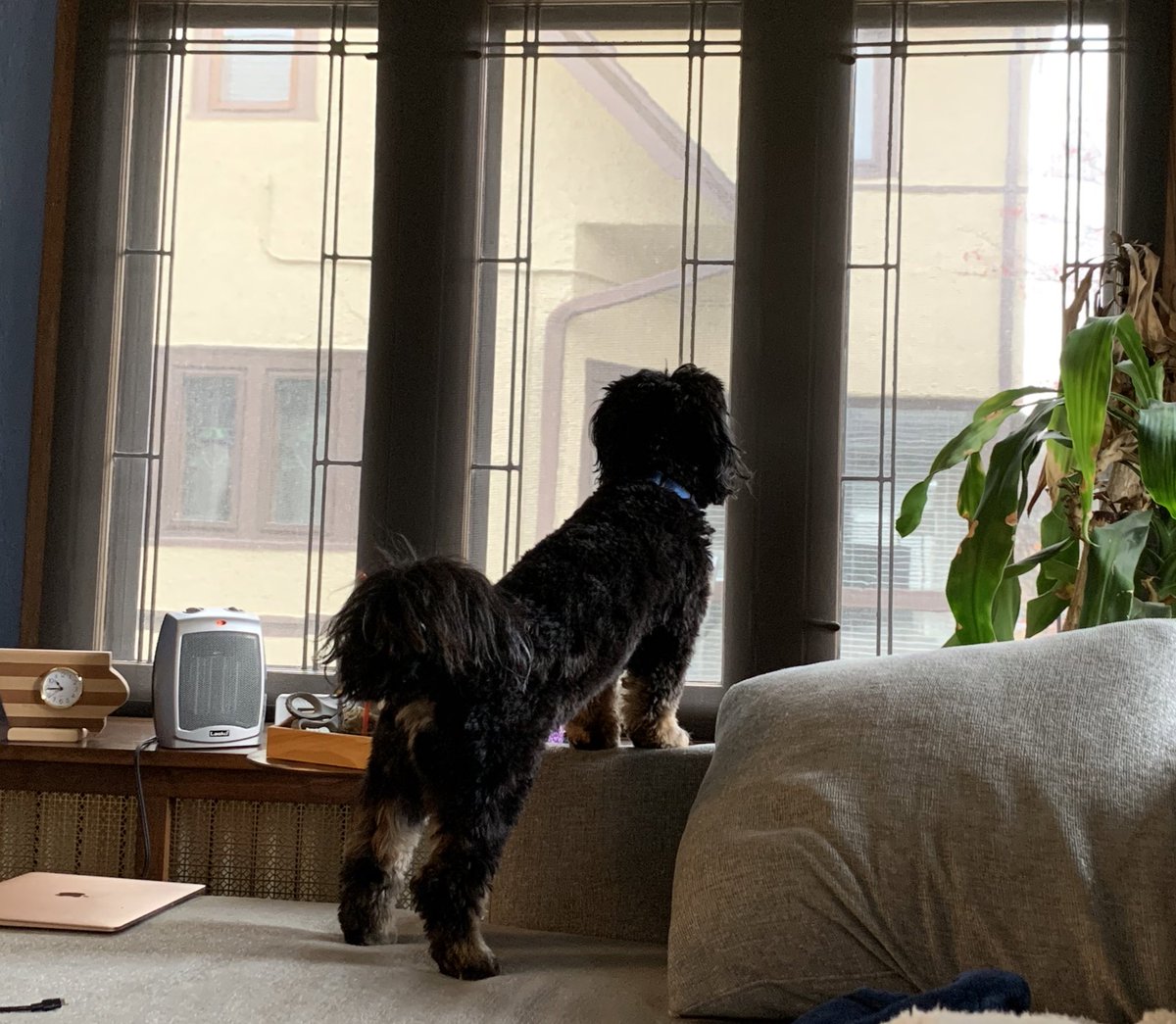 Greg Shill tweet media