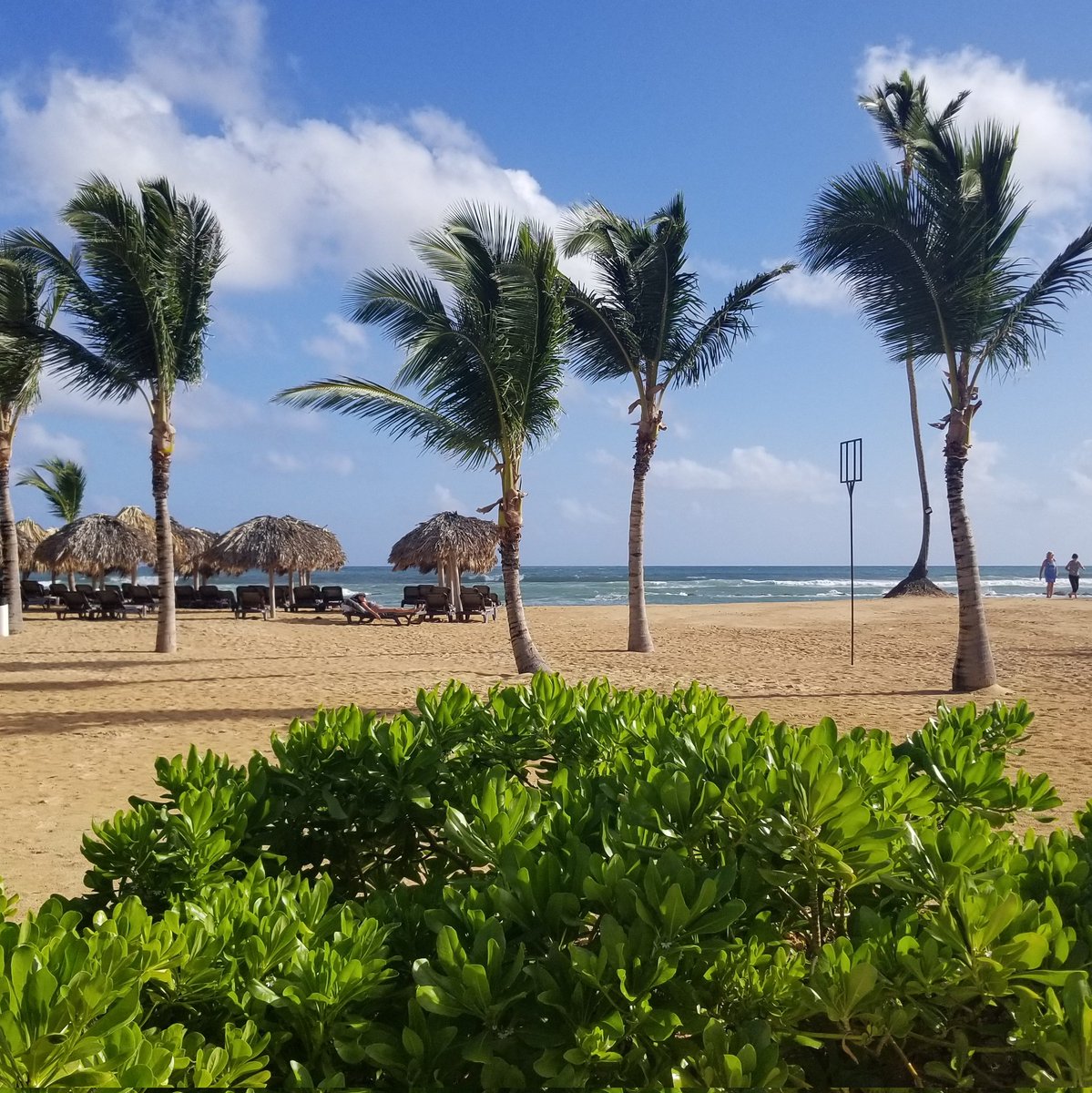 SmittyRob's tweet image. #NewProfilePic