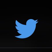 lasorteuse's tweet photo. Cet oiseau est en voie d’extinction. 🥲
#extinctiondevoix https://t.co/GopHQ1yMef