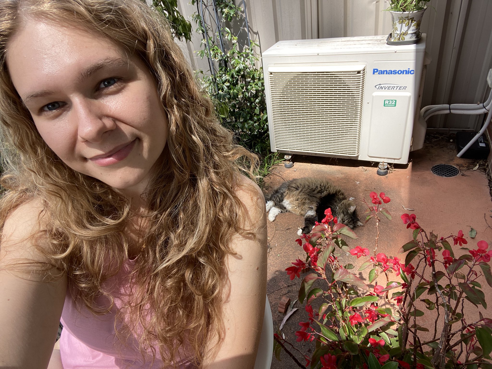 Roxy on Twitter: "i will be reading all future posts to this unconcerned cat https://t.co