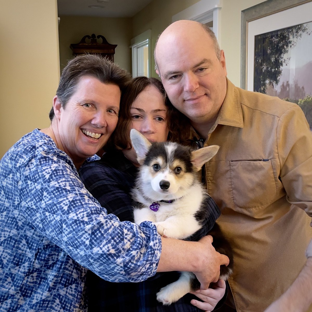 SmilingCorgi's tweet image. Rockshire Mountbatten-Windsor (Lilibet)
“Lily” went home with MK, Isabelle, and Ted.
#CorgiCrew #CorgiPuppies
@MarkSco53500888 @gtconway3d @UCorgwyn