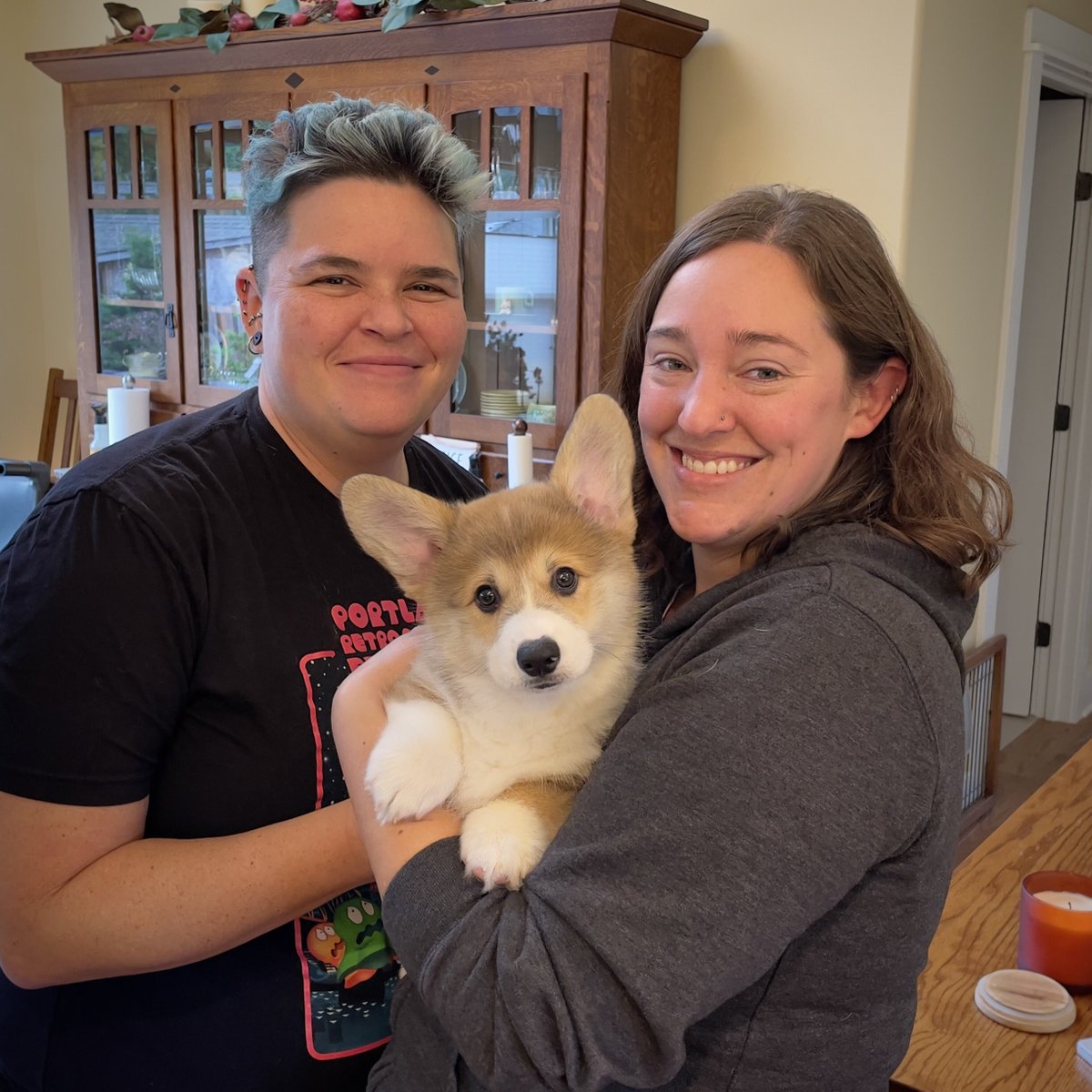SmilingCorgi's tweet image. Rockshire Prince of Wales (William)
“Pippin” went home with Alisa and Aubrey. They will show him in conformation events.
#CorgiCrew #CorgiPuppies
@MarkSco53500888 @gtconway3d @UCorgwyn
