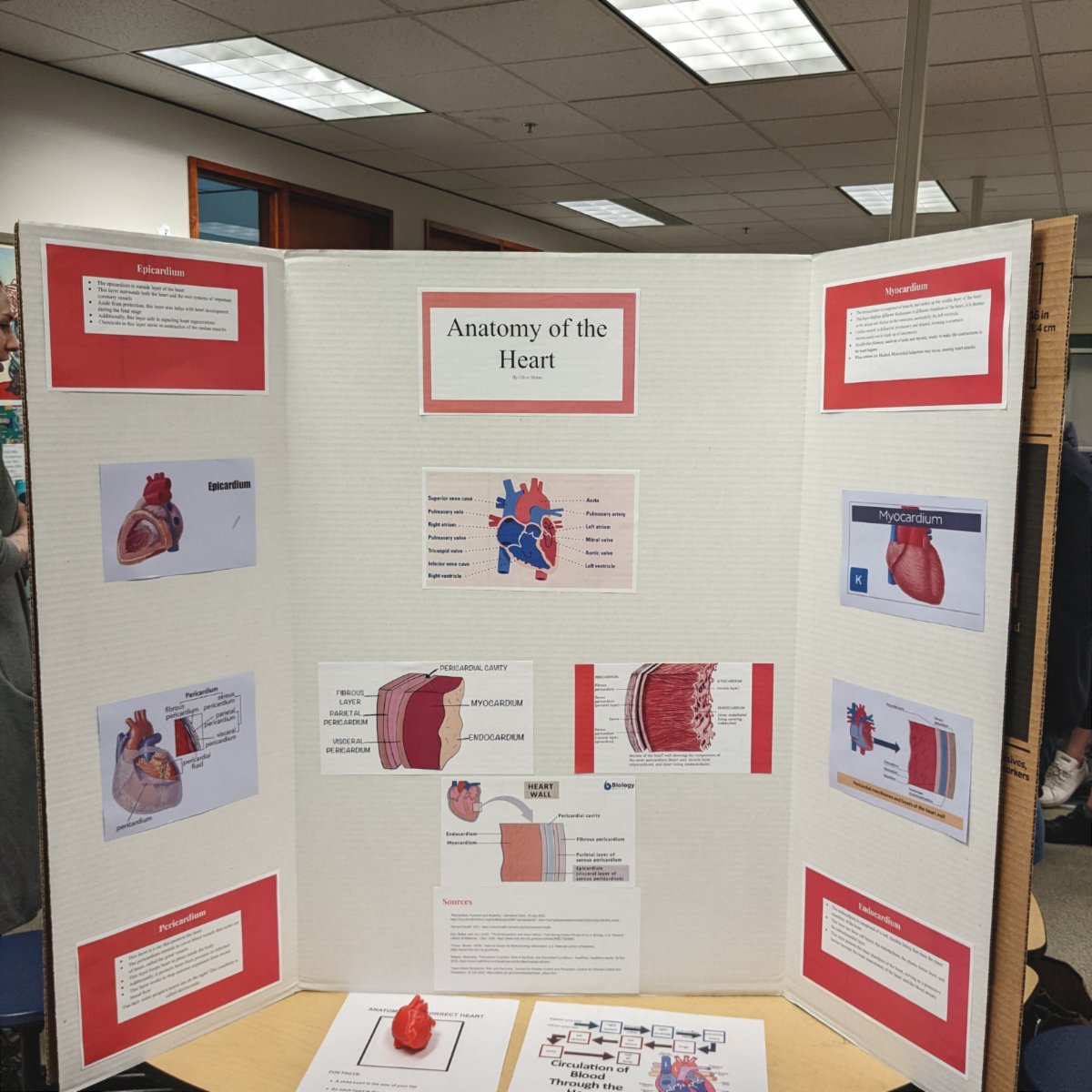 YellowWoodAcad's tweet photo. At the beginning of November we held our Lifelong Wellness Fair! This is one of our opportunities where students can put together a project on a topic of their choice and present! #studentwork #lifelongwellness #teachersmadeithappen https://t.co/m7ljFbq5ZT