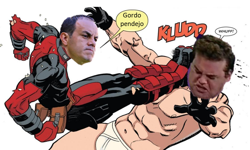Cerdo Boxeador tweet media