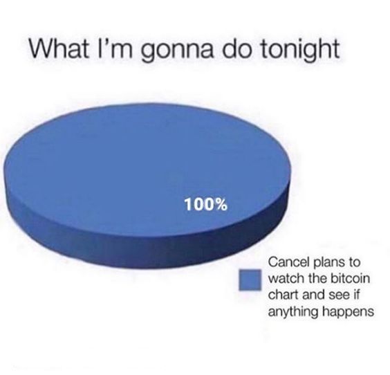 More like, what I'm gonna do all day, everyday...
#themcryptofeels