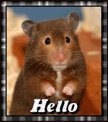 hello everyone, though i did abandon my account 🗿 came back to drop places you can keep track of me 

unuivrs.tumblr.com
toyhou.se/univrs

🫡