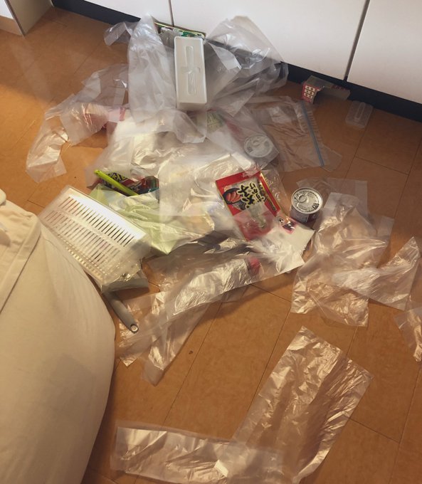 なるほどなるほどー?なるほどー? 