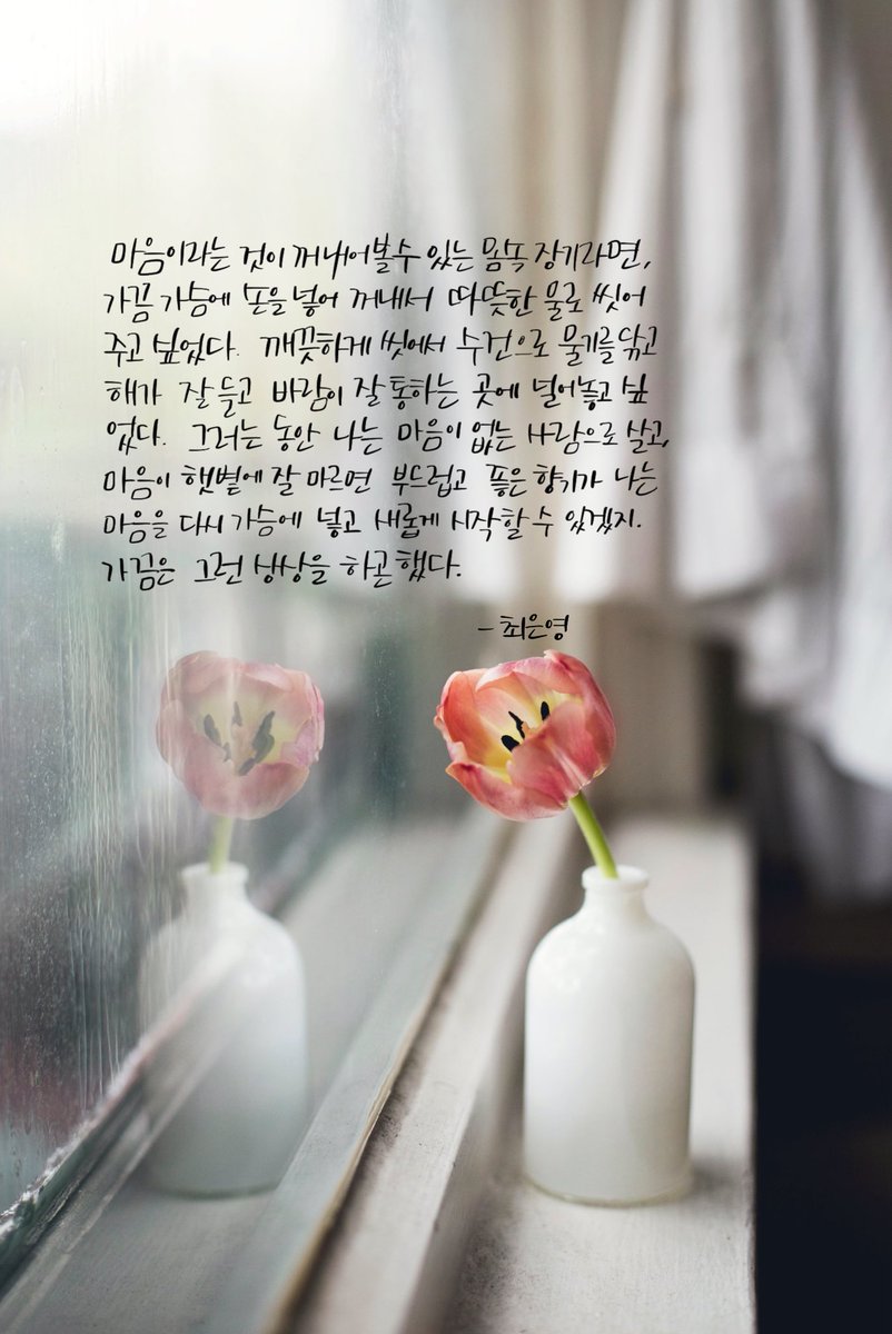 #최은영, 밝은 밤