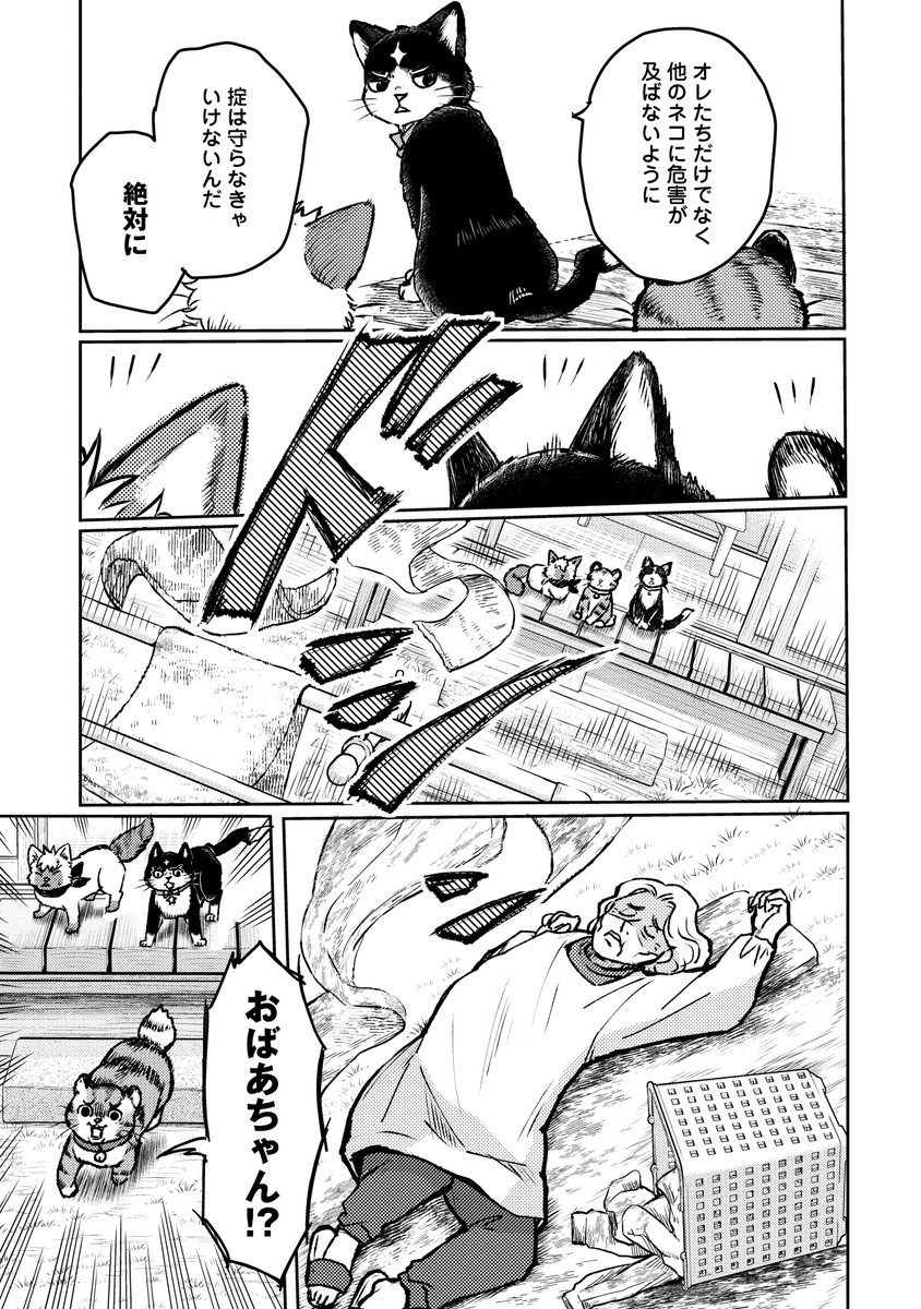 どうしても守りたいものがあったネコの話④

#ネコの掟 