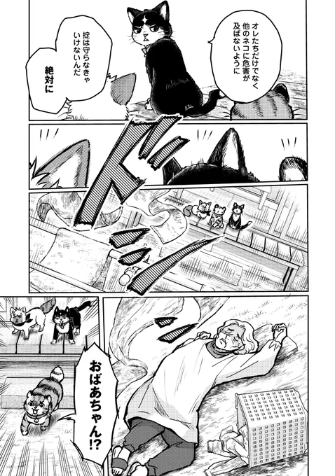 どうしても守りたいものがあったネコの話④

#ネコの掟 