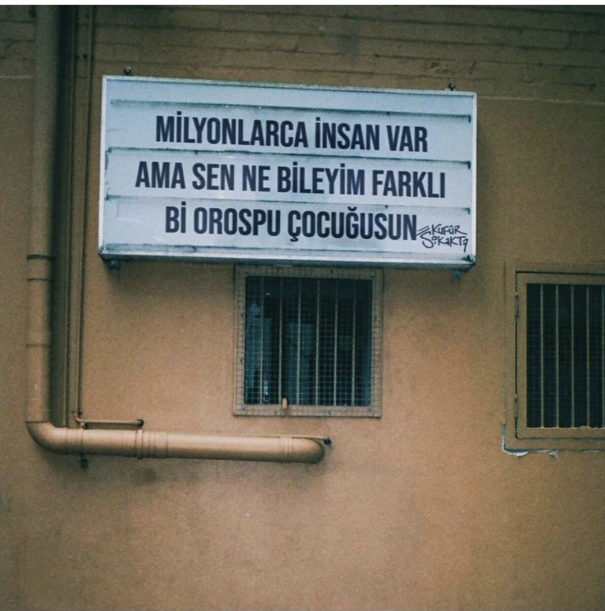 Günaydınnnn millet
