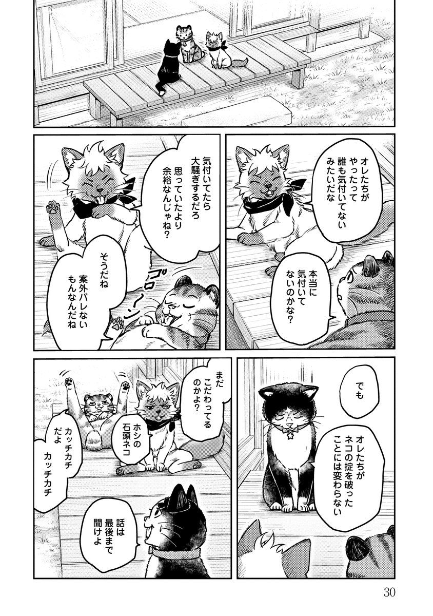 どうしても守りたいものがあったネコの話⑦

#ネコの掟 