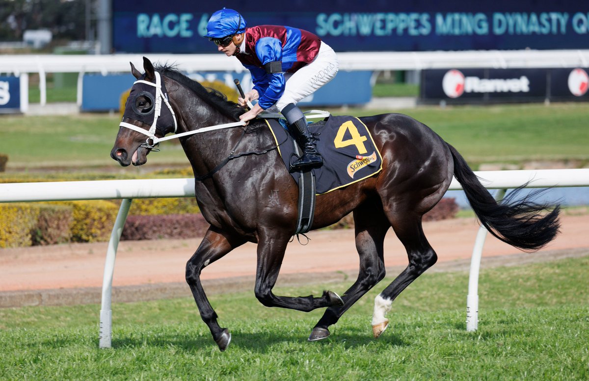 inglis_sales's tweet photo. NEWS: Strong drafts from industry heavyweights @CoolmoreAus & @godolphin highlight a compelling catalogue for the #InglisDigital November (Late) Online Sale, which is now open for bidding. READ MORE: https://t.co/vVYogPJF0z #Criaderas #Basquiat https://t.co/vCY0sFVnvK