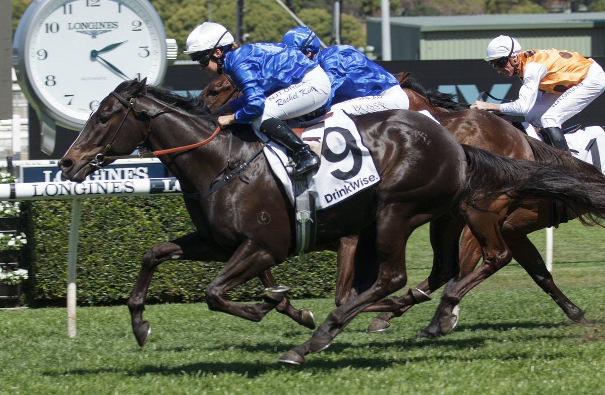 inglis_sales's tweet photo. NEWS: Strong drafts from industry heavyweights @CoolmoreAus & @godolphin highlight a compelling catalogue for the #InglisDigital November (Late) Online Sale, which is now open for bidding. READ MORE: https://t.co/vVYogPJF0z #Criaderas #Basquiat https://t.co/vCY0sFVnvK